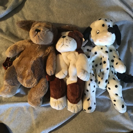 Backpack - 3 different puppies to pick from