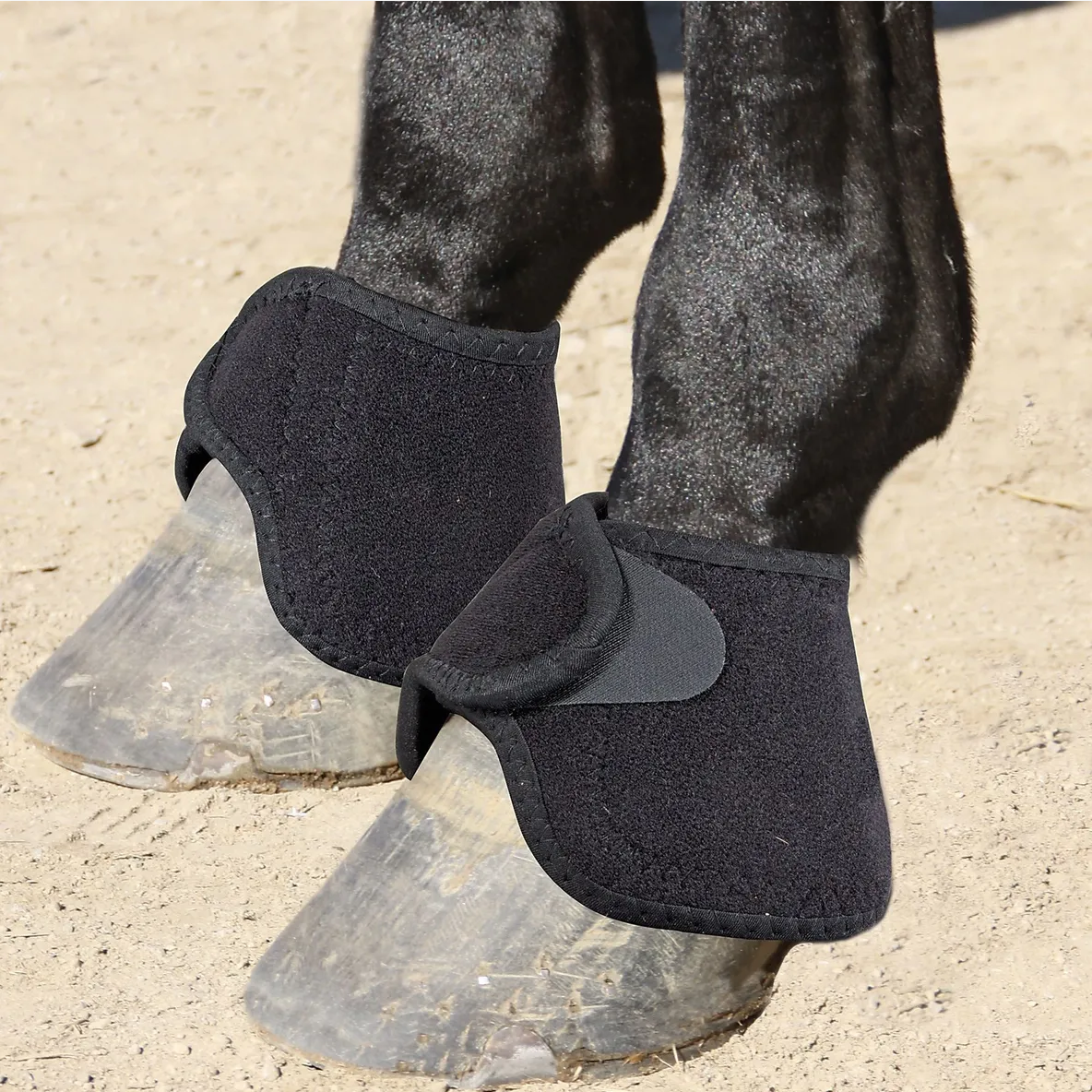 Bell Boot, No Turn, Black