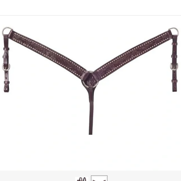 SET Leather Breastcollar & Headstall with Spots