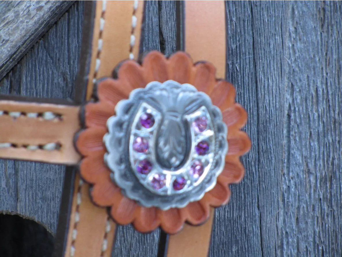 Horseshoe Concho with Purple Crystals Headstall & Breastcollar SET