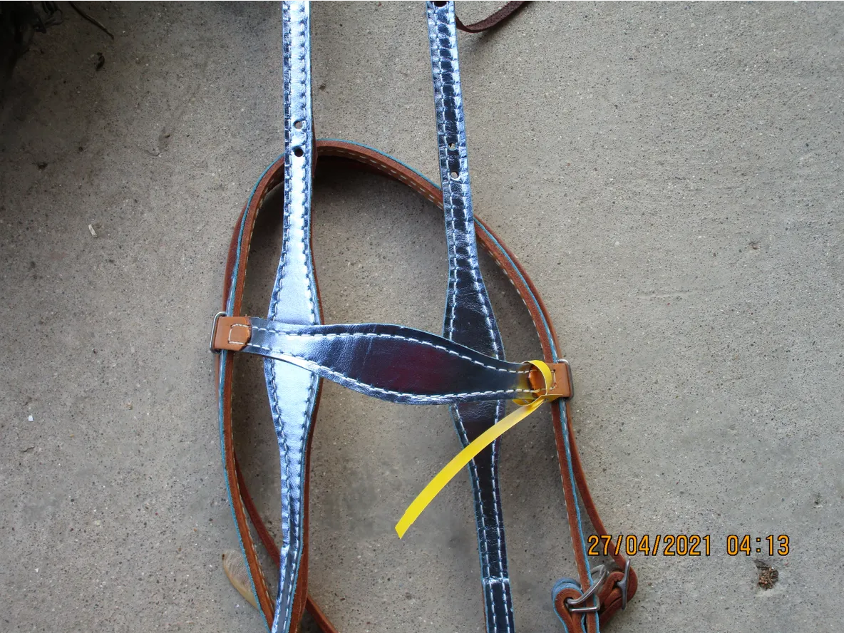 Ice Blue Headstall and Rope Rein