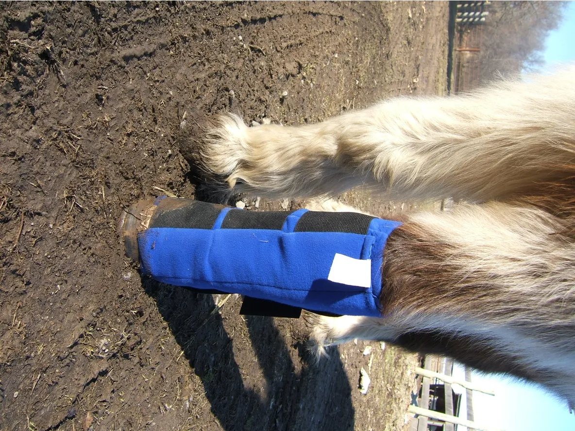 Ice Wrap - Reusable Pro Kold