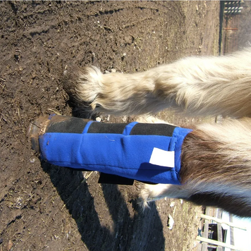 Ice Wrap - Reusable Pro Kold