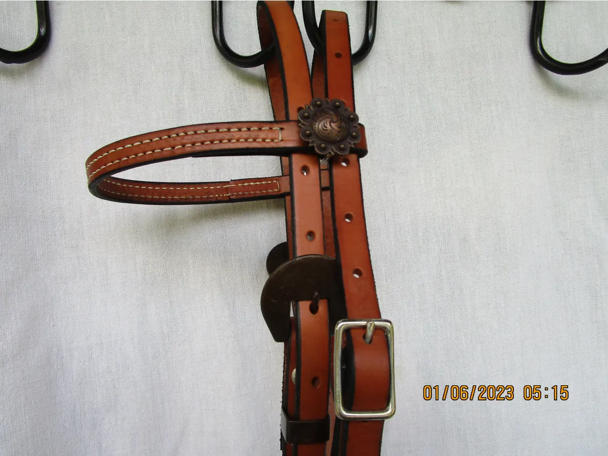 Large Pony Leather Headstall with Antique Conchos #7