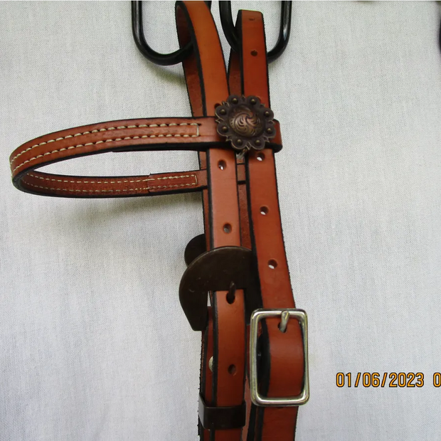 Large Pony Leather Headstall with Antique Conchos #7