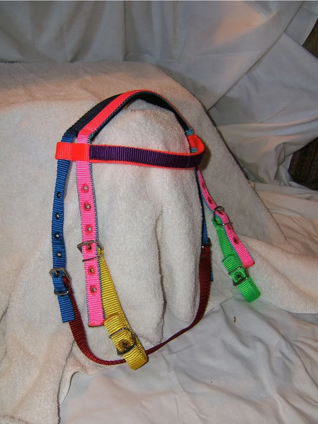 Multi-Colored PONY Nylon Headstall