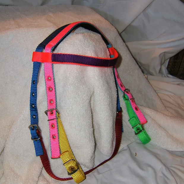 Multi-Colored PONY Nylon Headstall