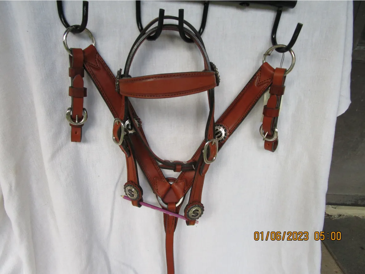 Money Set - Headstall & Breastcollar with Money conchos
