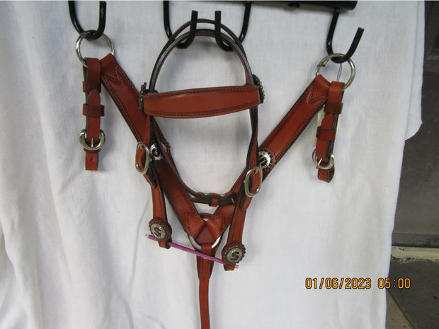 Money Set - Headstall & Breastcollar with Money conchos