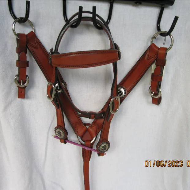 Money Set - Headstall & Breastcollar with Money conchos