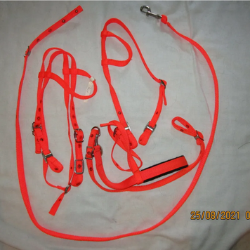 Pony Barrel Set, Orange