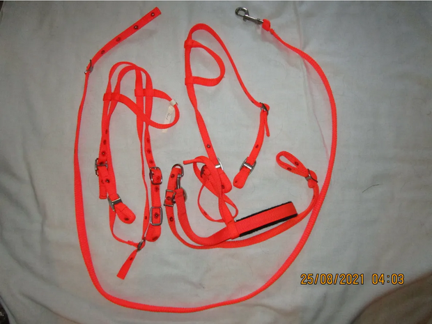 Pony Barrel Set, Orange