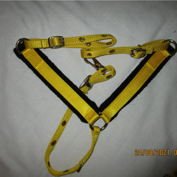 PONY Breastcollar Nylon 70317