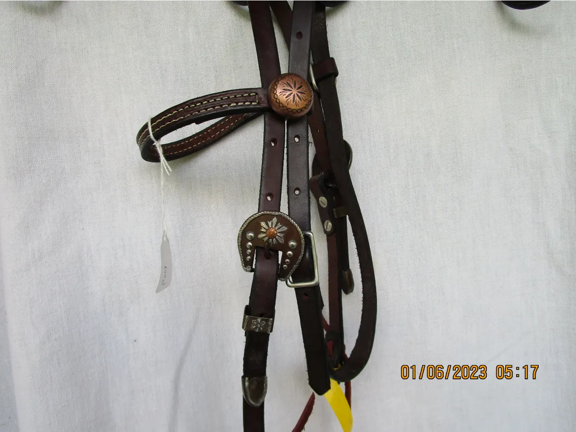 Pony Leather Bronze & Brown Conchos