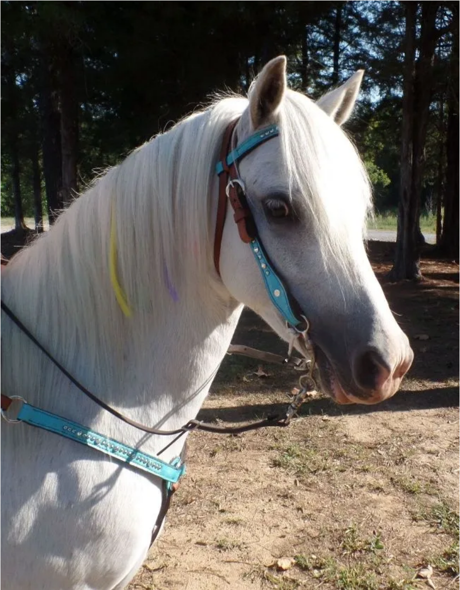 Pony Blue Marble Headstall & Breastcollar Set