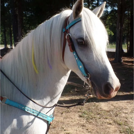 Pony Blue Marble Headstall & Breastcollar Set