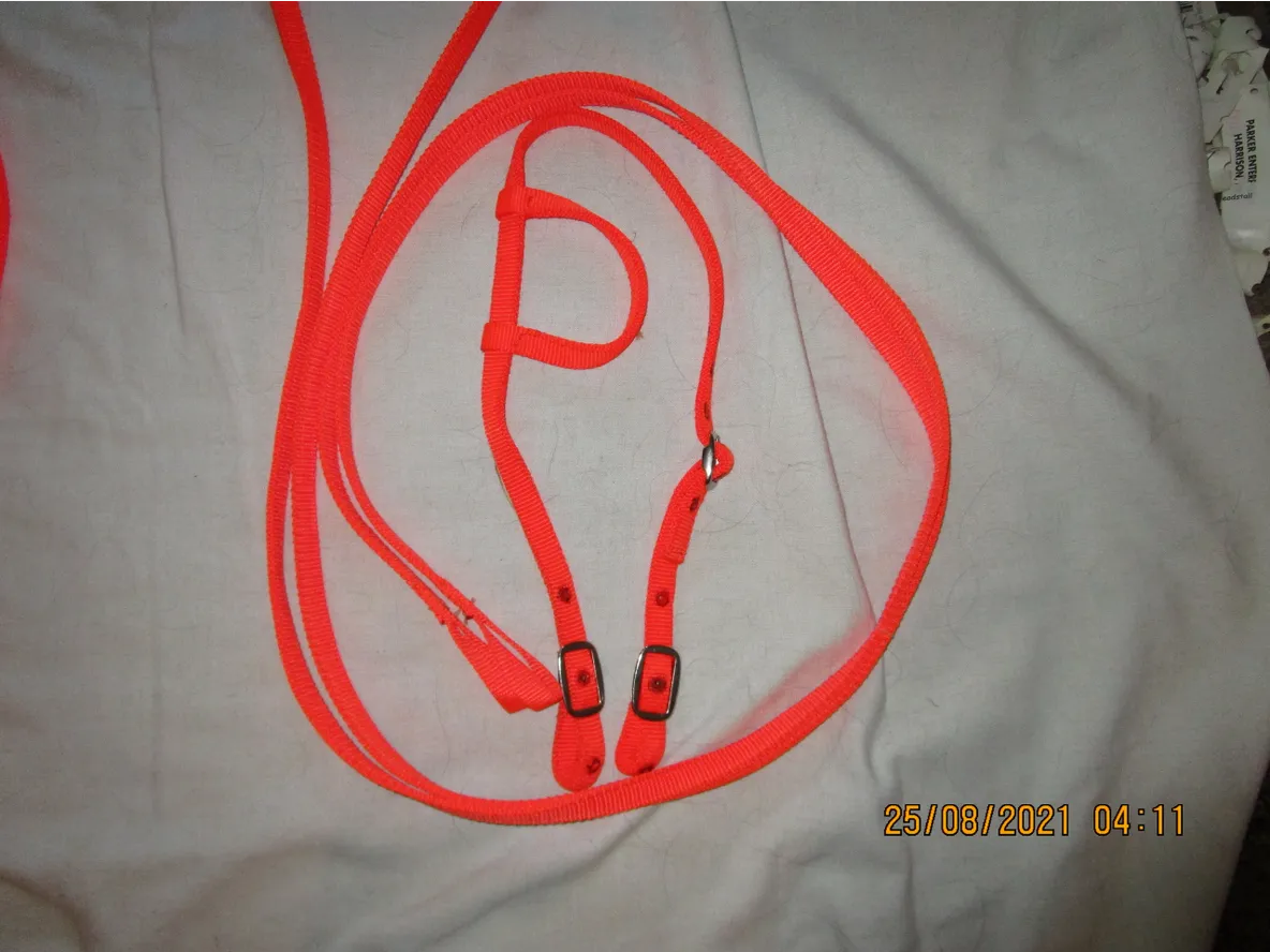 Pony Slide Ear & Reins Orange
