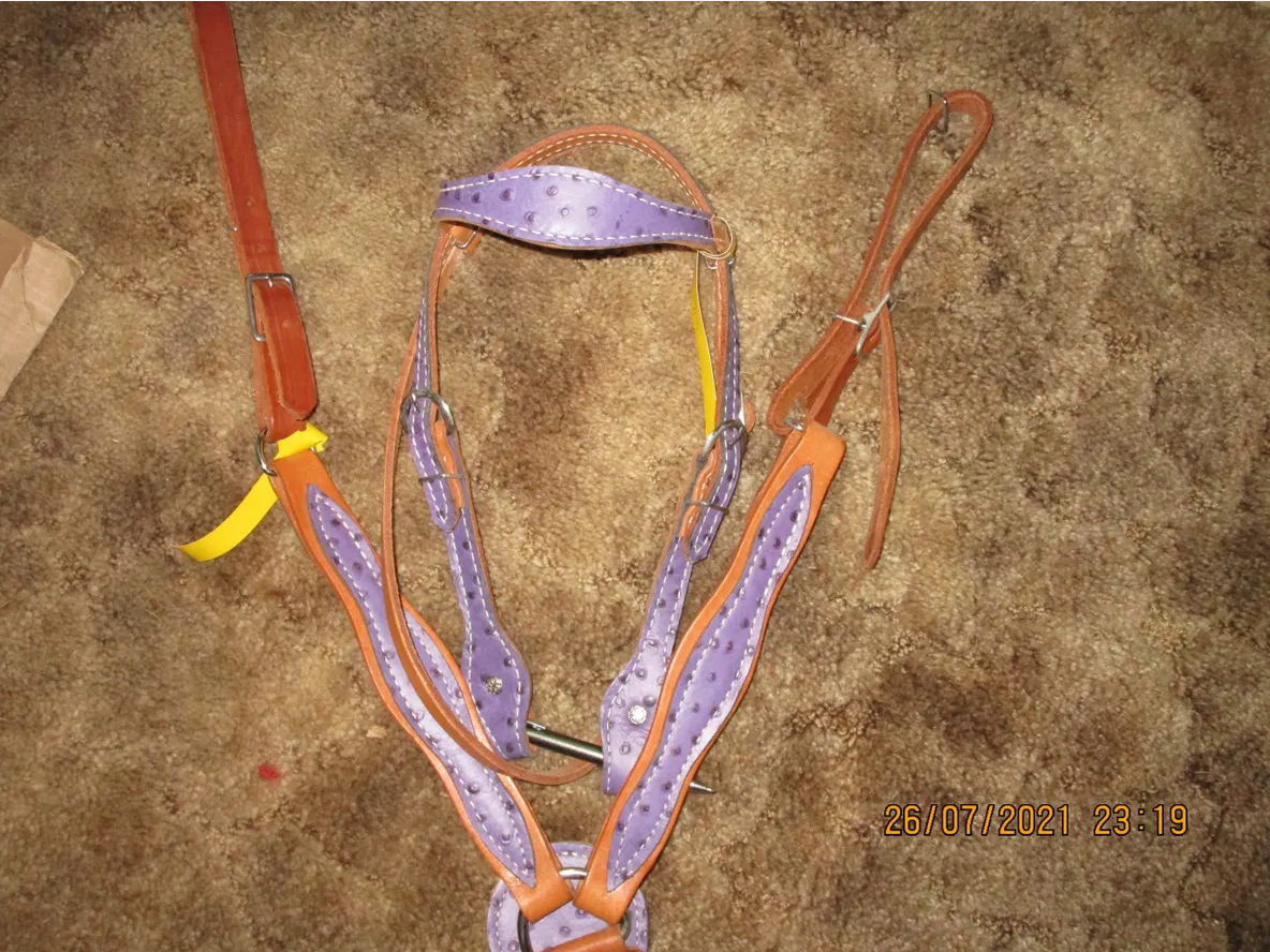 Purple Ostrich Headstall & Breastcollar Pony & Mini