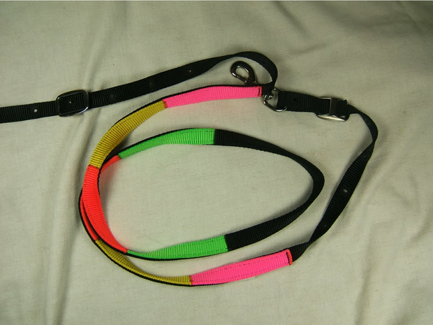 Rainbow Reins