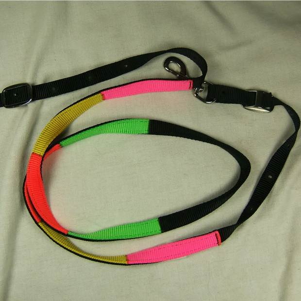 Rainbow Reins