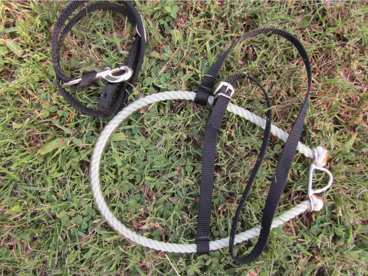 Rope Nose Band, Pony