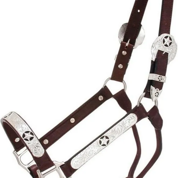 Silver Show Halter Black Star 18-990