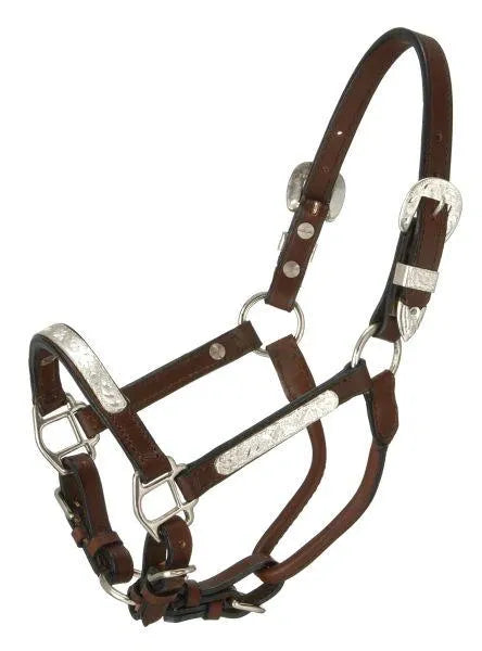 Silver Show Halter, Pony 18-44