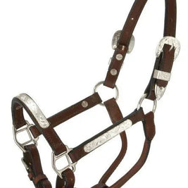 Silver Show Halter, Pony 18-44