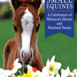 The Big Book of Small Equines