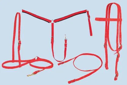 Complete Nylon Set - Pony