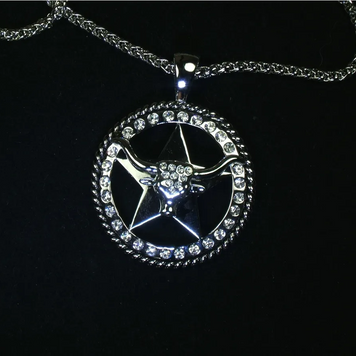 Longhorn Necklace