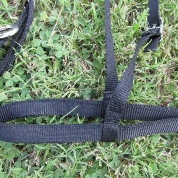 Mini Nylon Noseband OUT OF STOCK