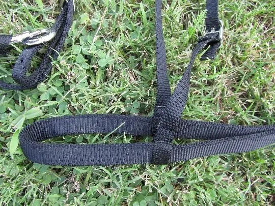 Mini Nylon Noseband OUT OF STOCK