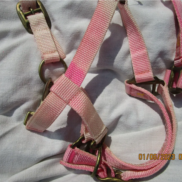 Pink Pony Halter