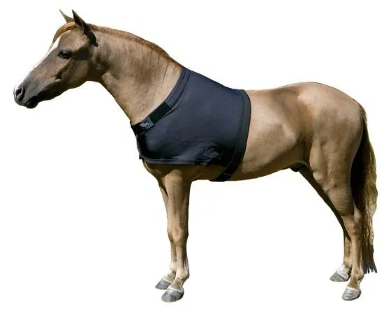 Shoulder Guard, Small, 500-800 Pounds BLUE