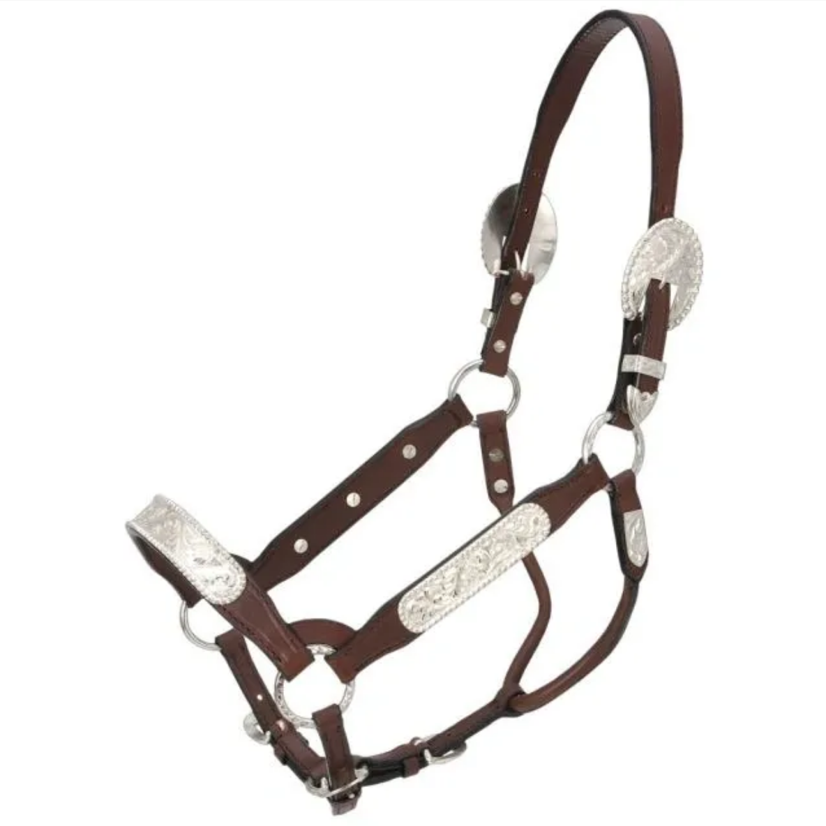 Silver Halter Congress Large Pony