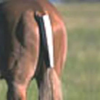 Miniature Tail Wrap 3 Sizes