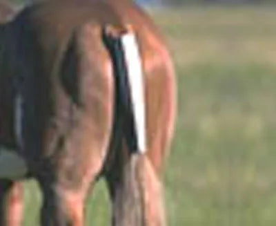 Miniature Tail Wrap 3 Sizes