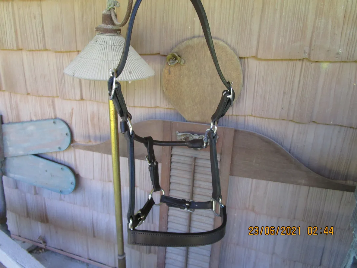 Yearling Leather Halter, Dark Oil