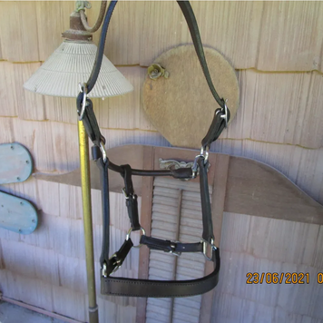 Yearling Leather Halter, Dark Oil